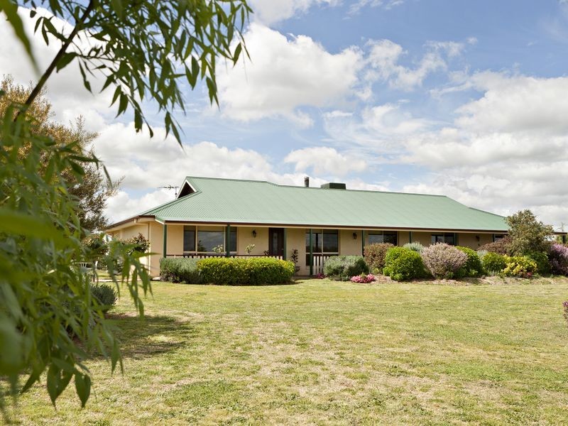 591 Spring Creek Road, Young NSW 2594