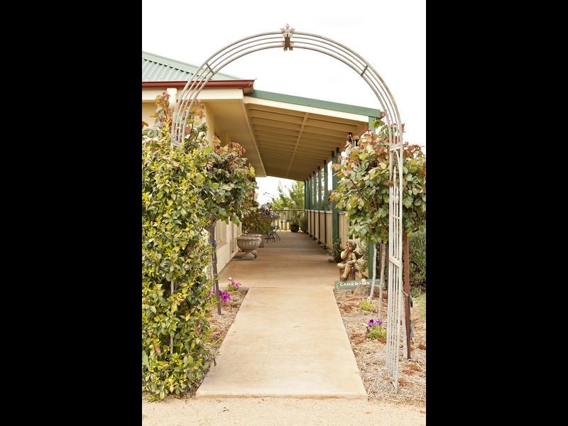 591 Spring Creek Road, Young NSW 2594