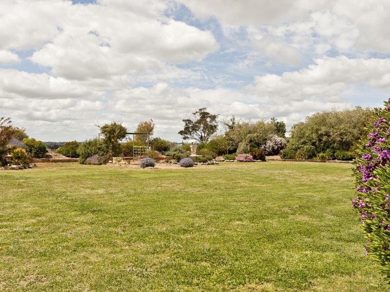 591 Spring Creek Road, Young NSW 2594