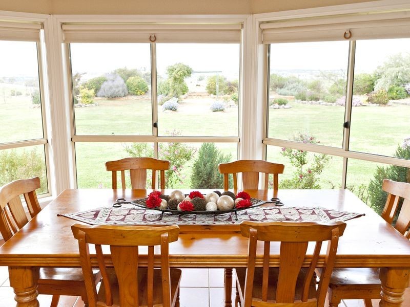 591 Spring Creek Road, Young NSW 2594