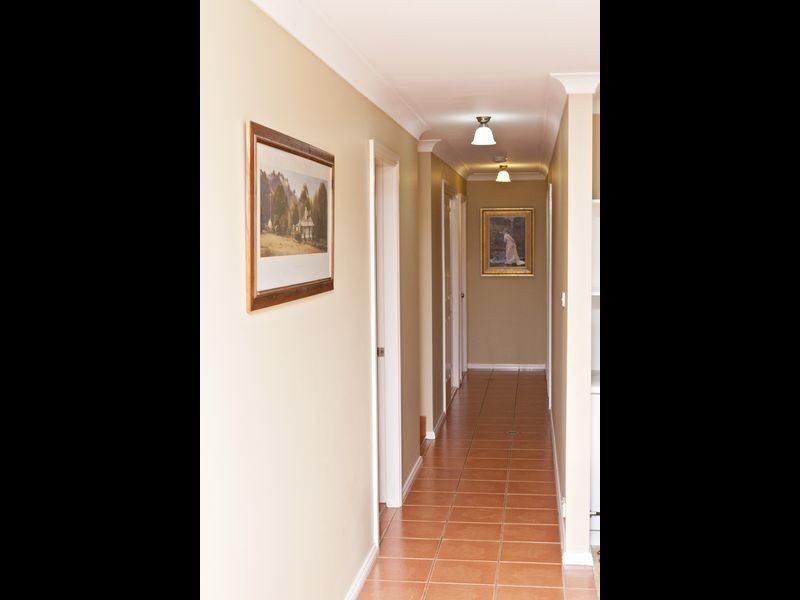 591 Spring Creek Road, Young NSW 2594