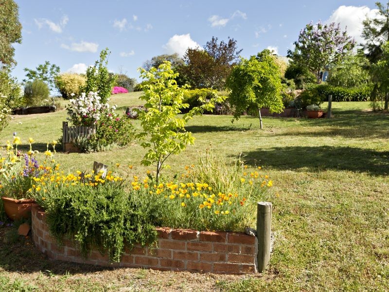 132 Belmore Rd, Young NSW 2594