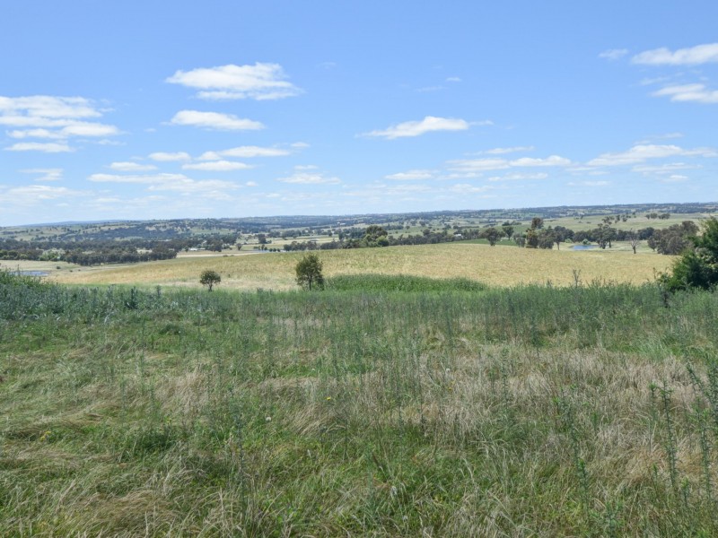 413 Maimuru SS Road Maimuru, Young NSW 2594