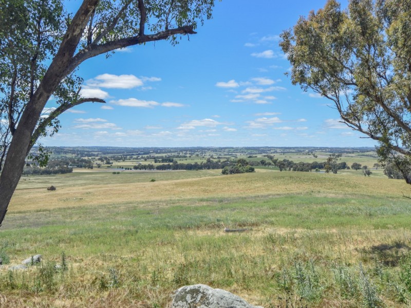 413 Maimuru SS Road Maimuru, Young NSW 2594