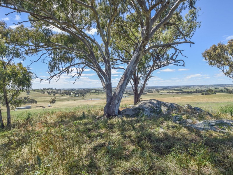 413 Maimuru SS Road Maimuru, Young NSW 2594