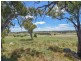 413 Maimuru SS Road Maimuru, Young NSW 2594
