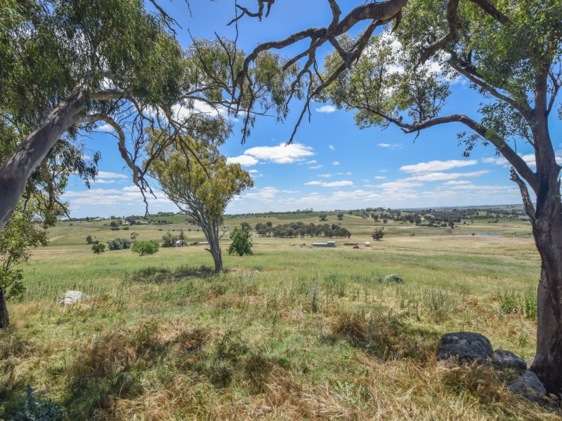 413 Maimuru SS Road Maimuru, Young NSW 2594