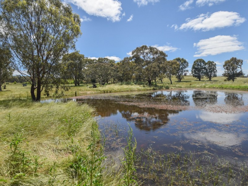 413 Maimuru SS Road Maimuru, Young NSW 2594