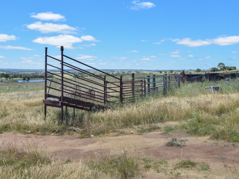 413 Maimuru SS Road Maimuru, Young NSW 2594