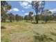 413 Maimuru SS Road Maimuru, Young NSW 2594