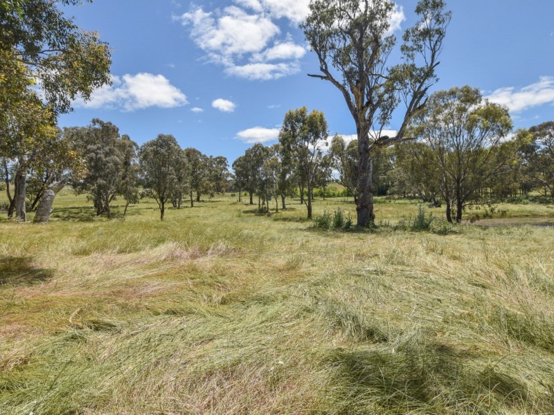 413 Maimuru SS Road Maimuru, Young NSW 2594