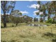 413 Maimuru SS Road Maimuru, Young NSW 2594