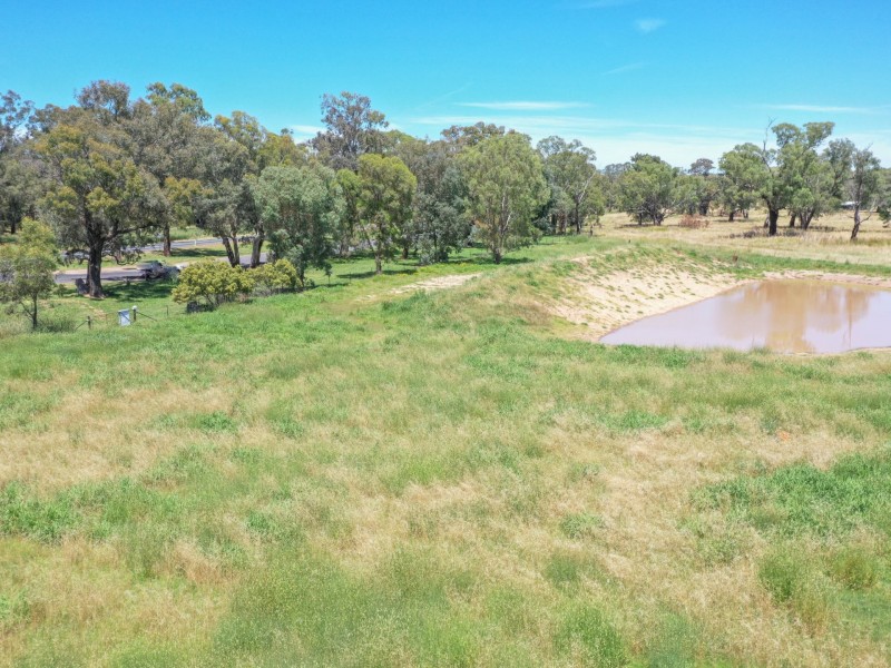 2605 Olympic Highway North, Young NSW 2594