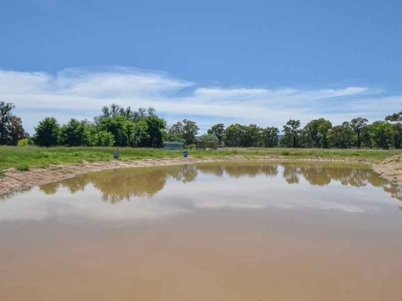 2605 Olympic Highway North, Young NSW 2594