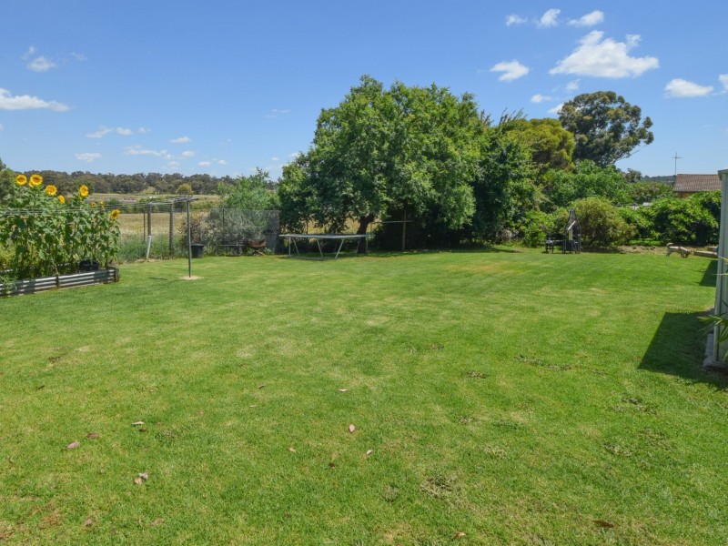 31 Templemore Street, Young NSW 2594