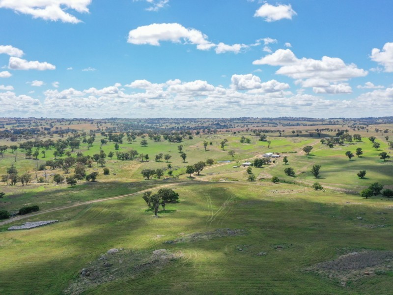 1095 Highbank Lane, Young NSW 2594