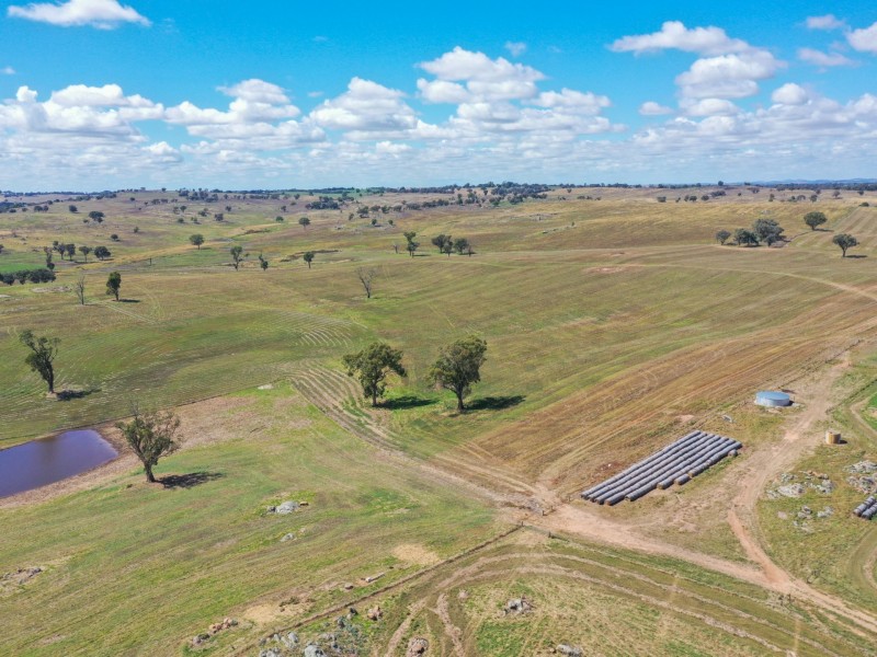 1095 Highbank Lane, Young NSW 2594