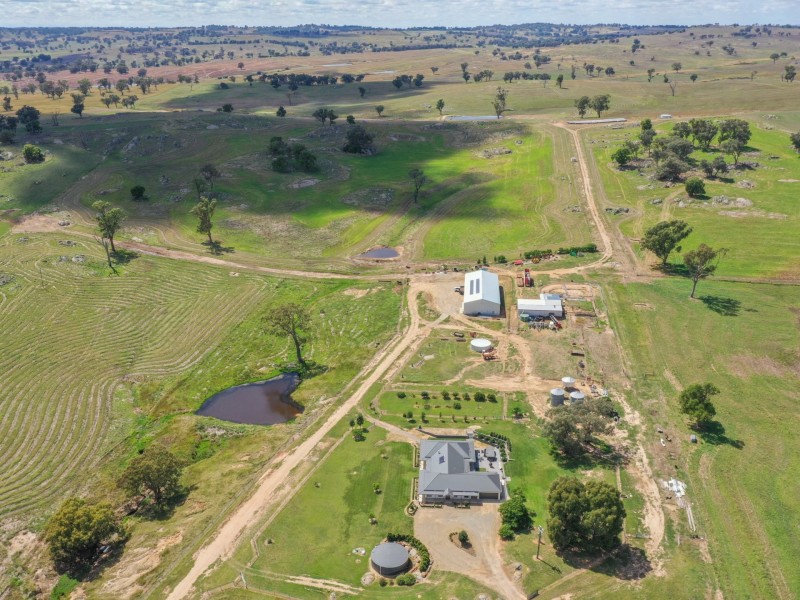 1095 Highbank Lane, Young NSW 2594