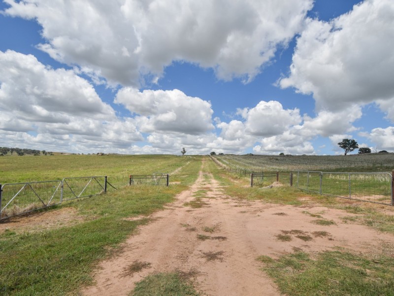 1095 Highbank Lane, Young NSW 2594