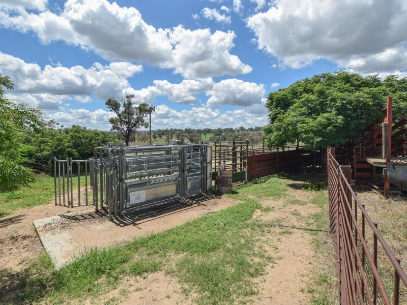 1095 Highbank Lane, Young NSW 2594