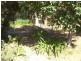 60 Fontenoy Street, Young NSW 2594