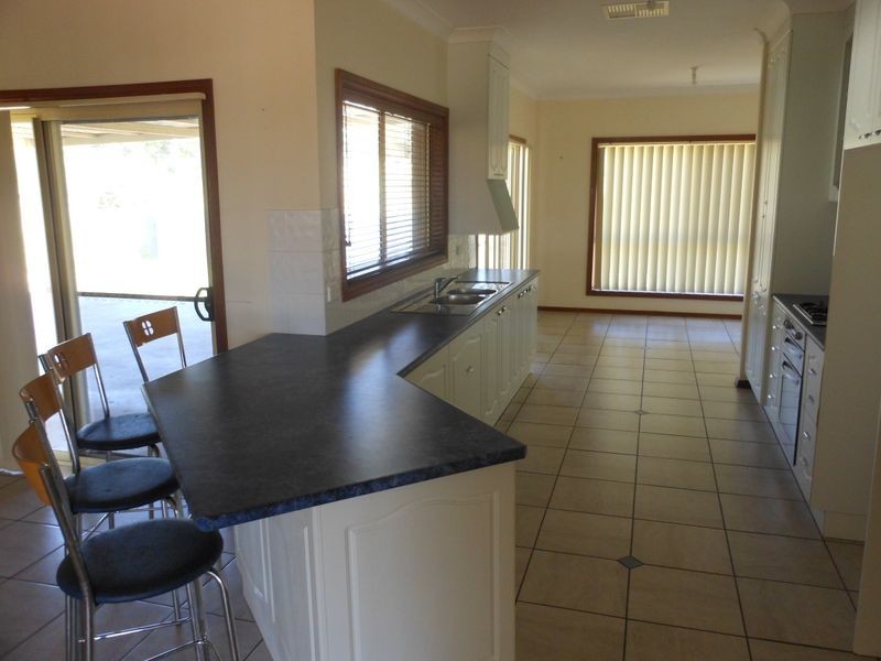 109 Kellys Rd, Young NSW 2594