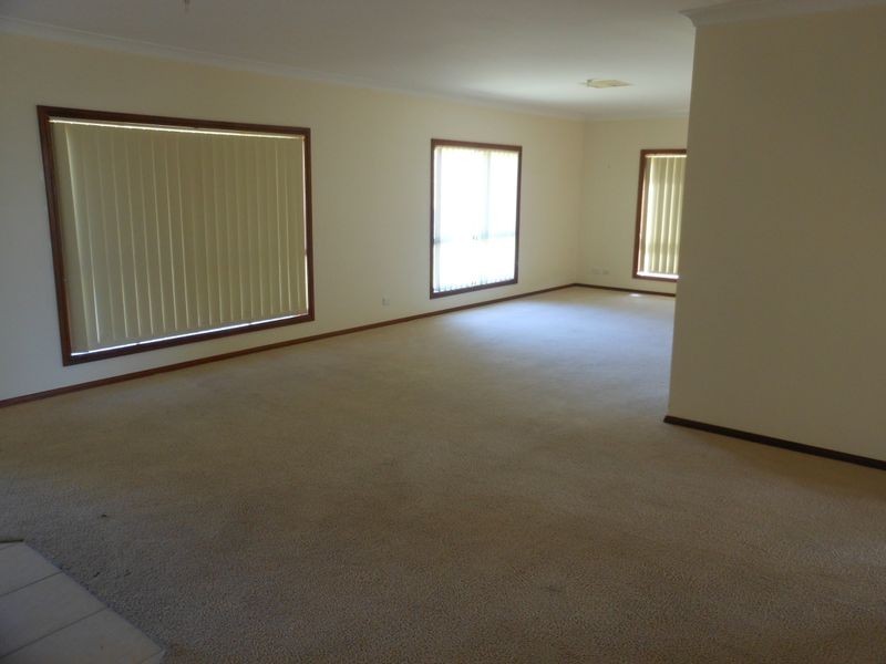 109 Kellys Rd, Young NSW 2594