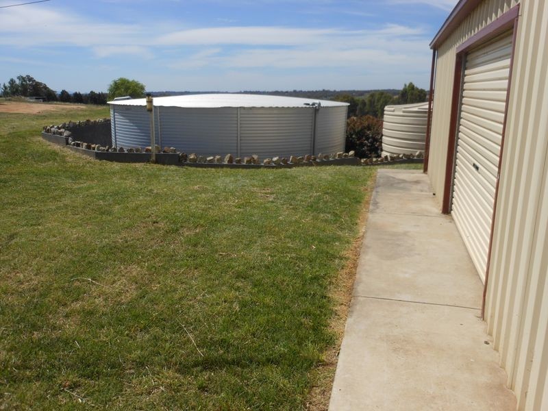 109 Kellys Rd, Young NSW 2594