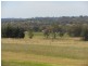 109 Kellys Rd, Young NSW 2594