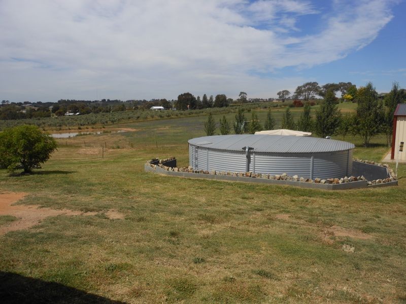 109 Kellys Rd, Young NSW 2594