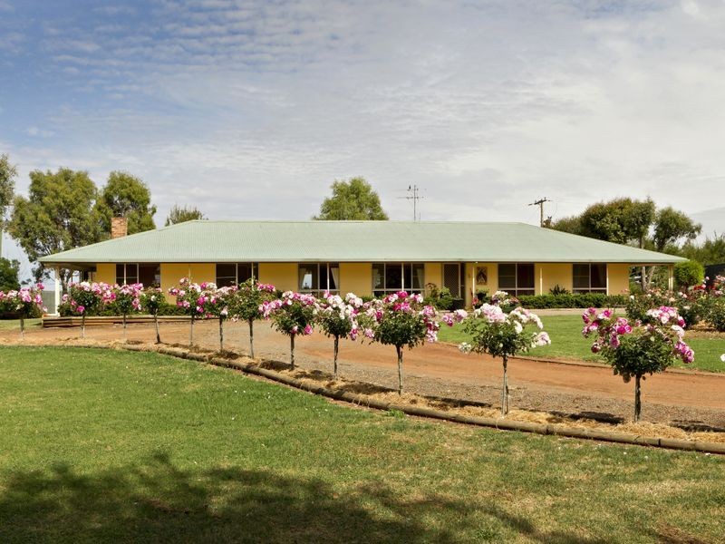 00 Kingsvale Rd, Young NSW 2594