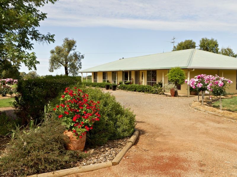 00 Kingsvale Rd, Young NSW 2594