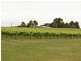 00 Kingsvale Rd, Young NSW 2594