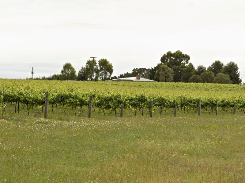 00 Kingsvale Rd, Young NSW 2594