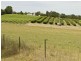 00 Kingsvale Rd, Young NSW 2594