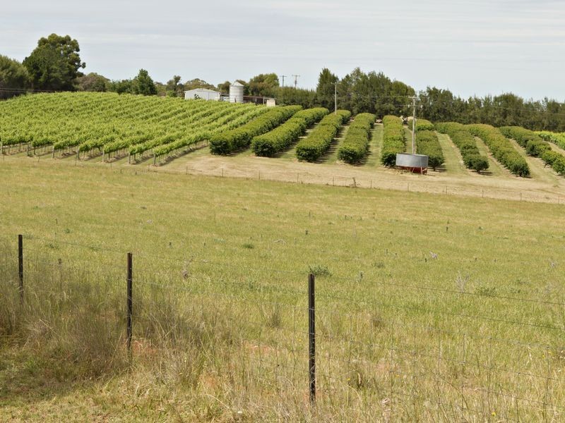 00 Kingsvale Rd, Young NSW 2594