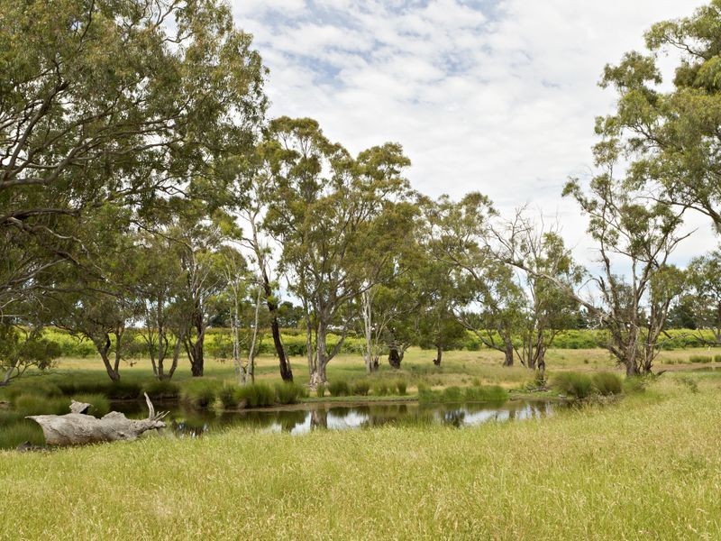 00 Kingsvale Rd, Young NSW 2594