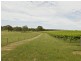 00 Kingsvale Rd, Young NSW 2594