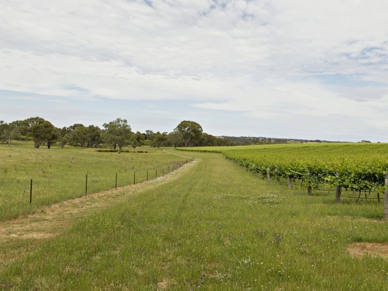 00 Kingsvale Rd, Young NSW 2594