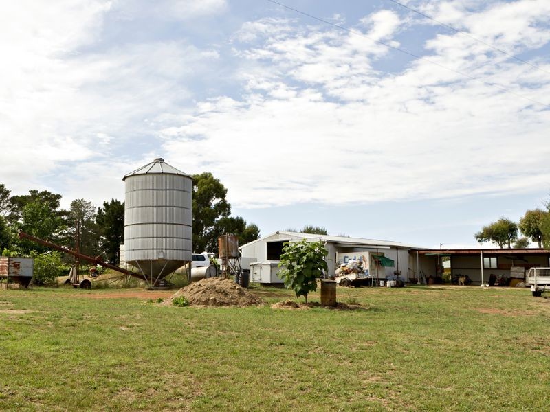 00 Kingsvale Rd, Young NSW 2594