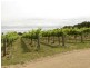 00 Kingsvale Rd, Young NSW 2594