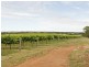 00 Kingsvale Rd, Young NSW 2594