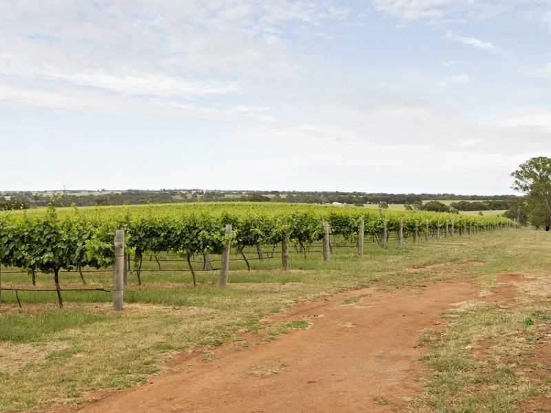 00 Kingsvale Rd, Young NSW 2594