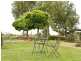 00 Kingsvale Rd, Young NSW 2594