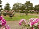 00 Kingsvale Rd, Young NSW 2594