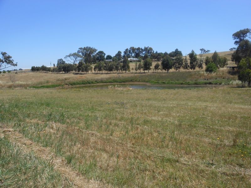 38 Byrne Close, Young NSW 2594
