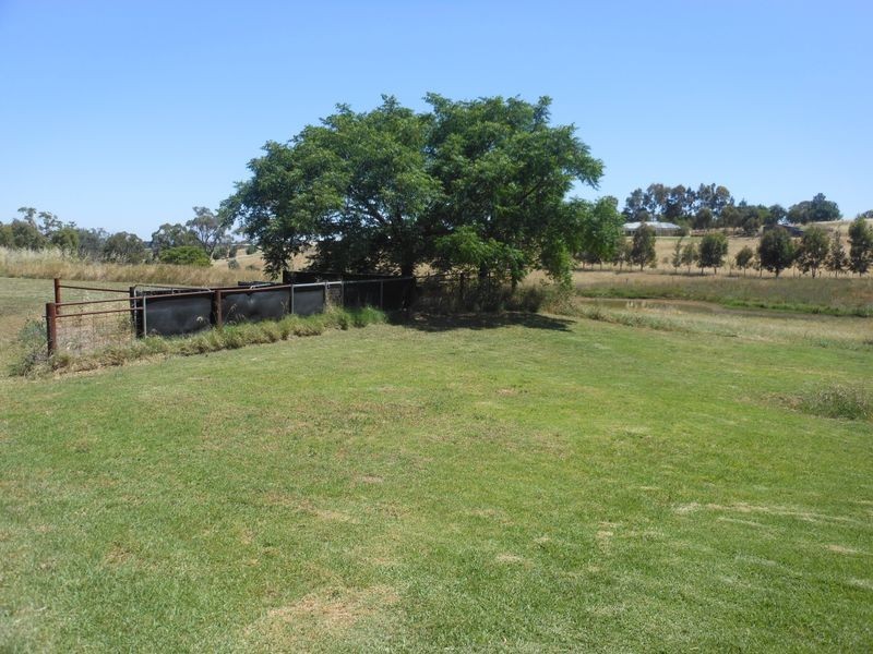 38 Byrne Close, Young NSW 2594