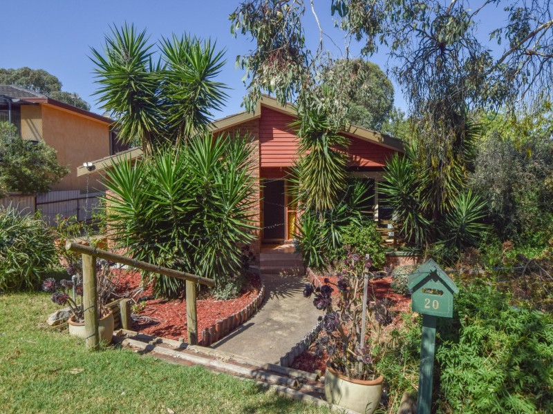 20 Nasmyth Street, Young NSW 2594
