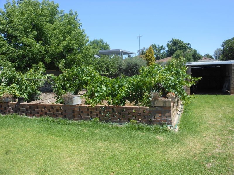 43 Murringo Street, Young NSW 2594