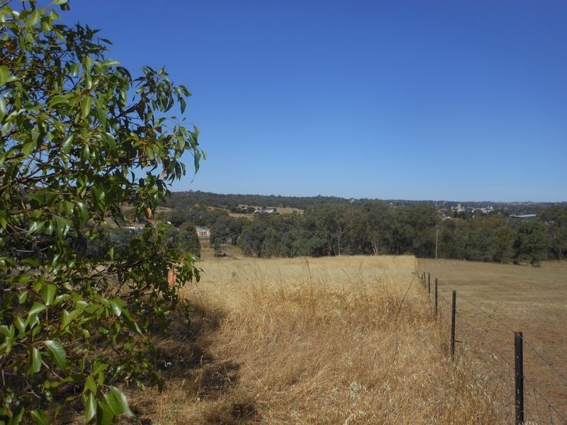 1 Browns Lane, Young NSW 2594